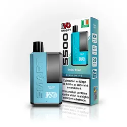 IVG5500 Disposable & Rechargeable Vape Kit - Polar Mint